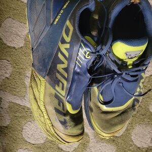Dynafit Blue and Yellow Trail Running Shoes